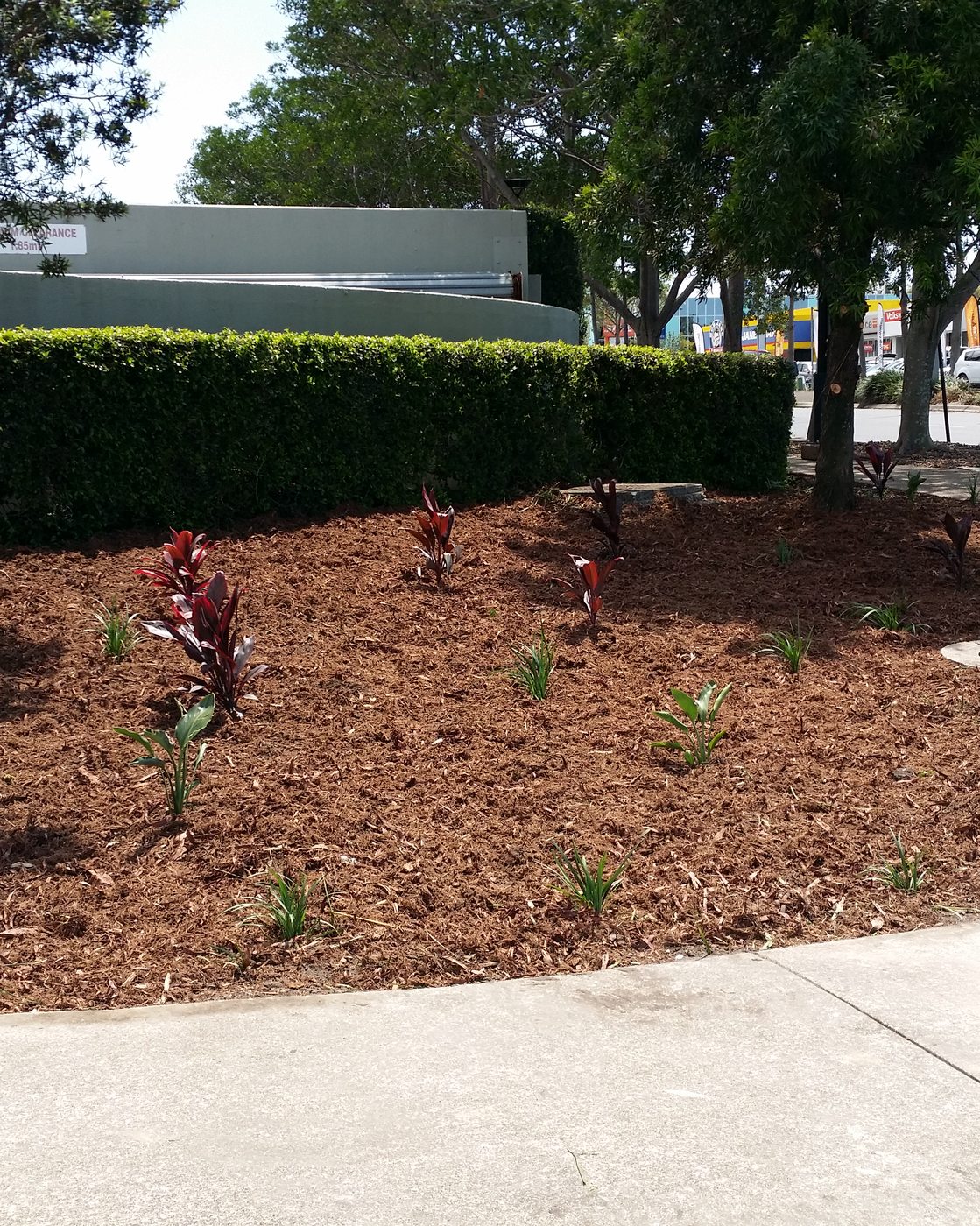 A garden bed receiving a fresh mulch refresh